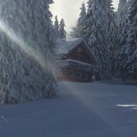 Hotel Auerhahn Feldberg  Exterior foto